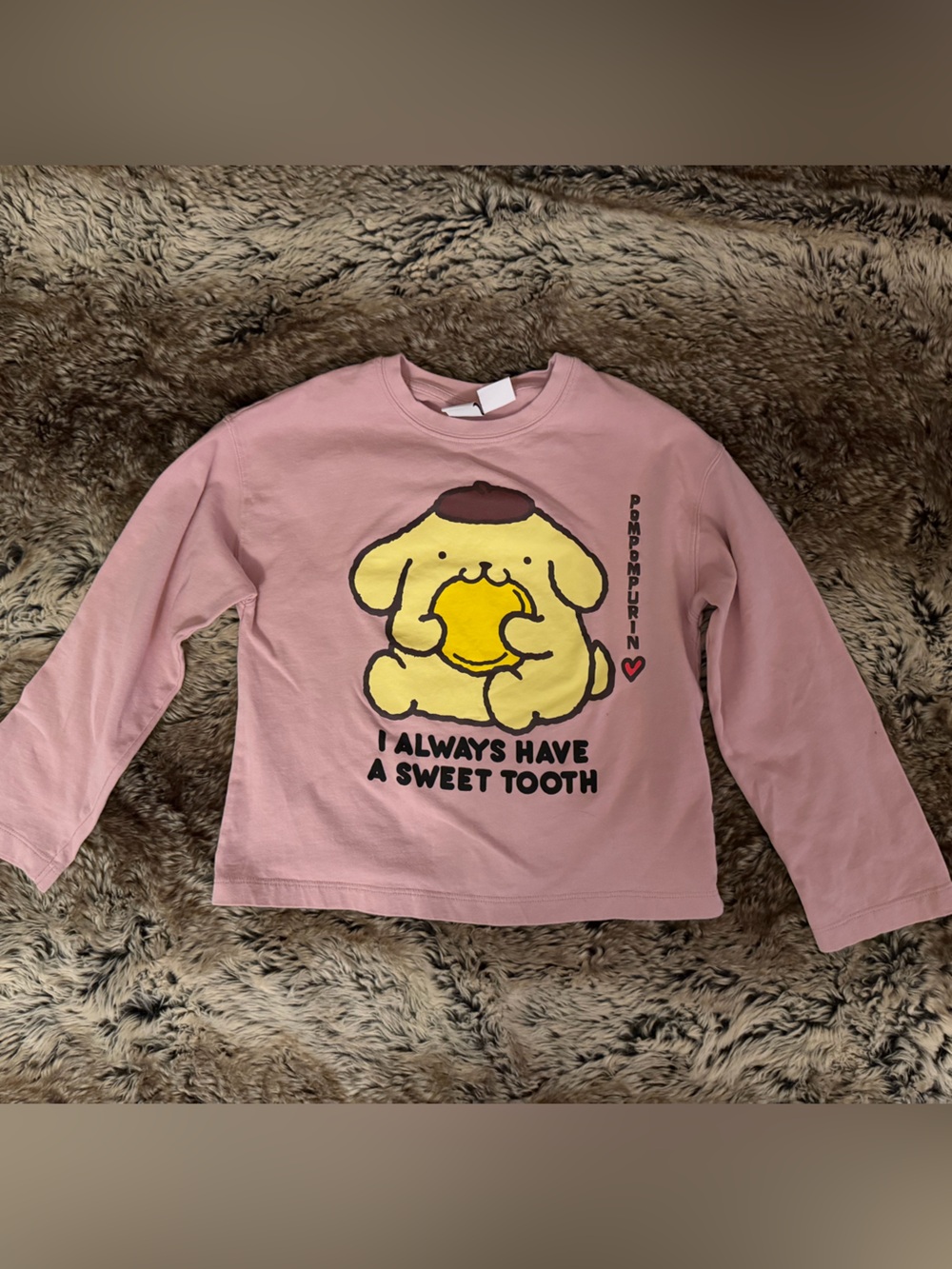 Zara Pink Long-Sleeve Tee with Pompompurin Character Graphic